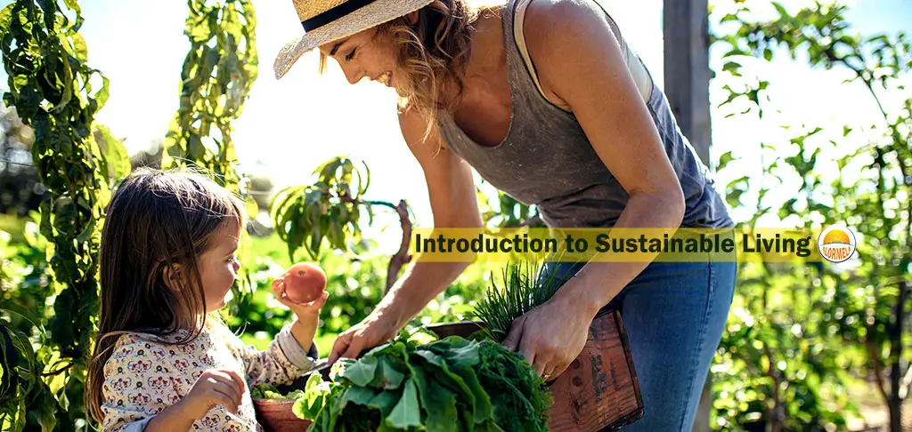 introduction to sustainable living