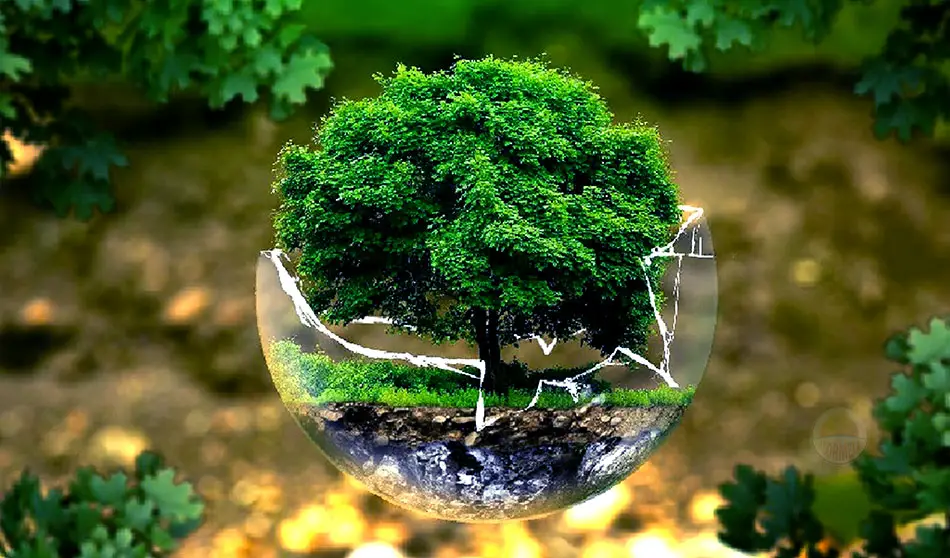 The importance of sustainable living for a greener future